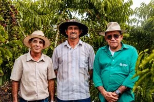 Sistema FAPERON/SENAR promove excursão técnica e impulsiona cafeicultura em Itapuã do Oeste