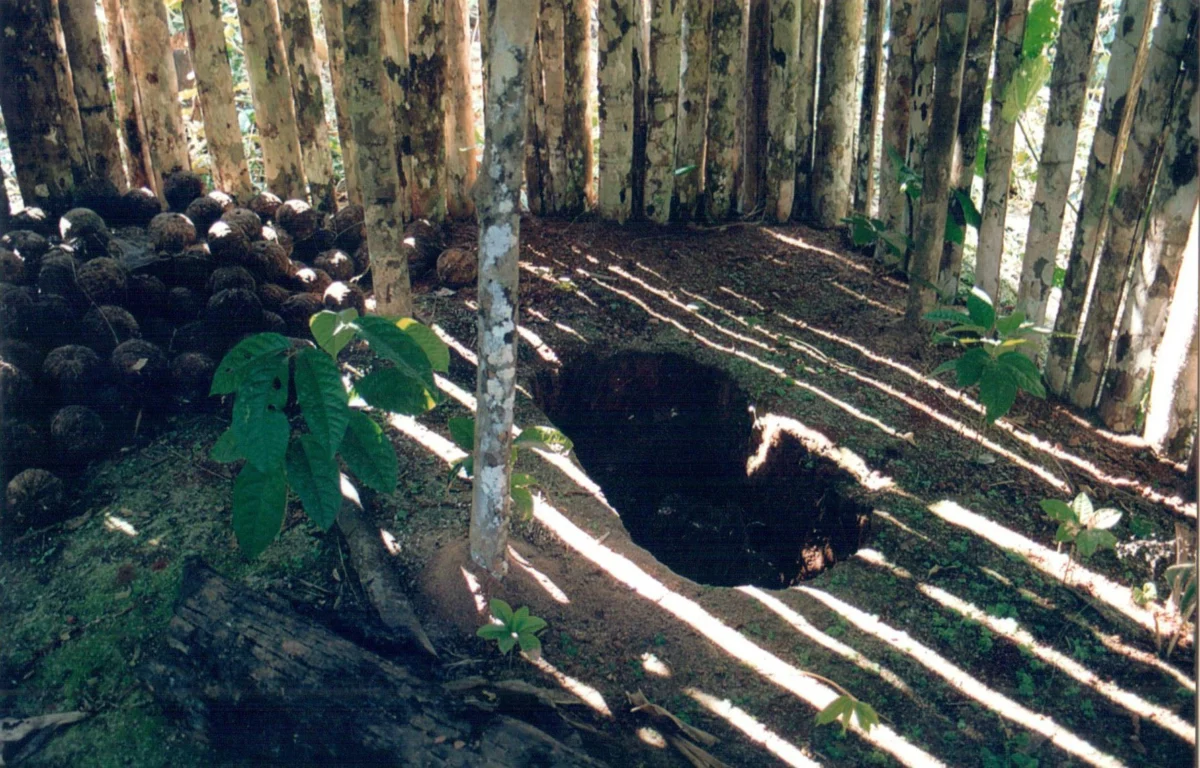 Terra onde ‘Índio do Buraco’ viveu isolado por décadas vira parque nacional em RO