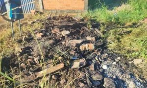 Queimadas noturnas também geram multa Rolim; proprietário foi autuado após incêndio em terreno no Bairro Olímpico